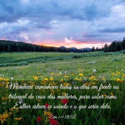 Picture 03 - Ester 2:11 BSL - Mordecai caminhava todos os dias em frente ao - Bible Verse Picture