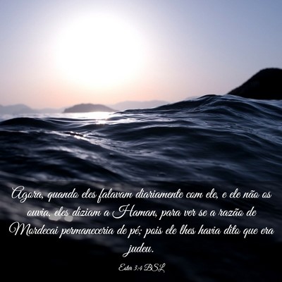 Picture 03 - Ester 3:4 BSL - Agora, quando eles falavam diariamente com ele, e - Bible Verse Picture