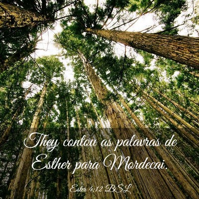 Picture 03 - Ester 4:12 BSL - They contou as palavras de Esther para - Bible Verse Picture