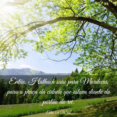 Picture 03 - Ester 4:6 BSL - Então, Hathach saiu para Mordecai, para a praça - Bible Verse Picture