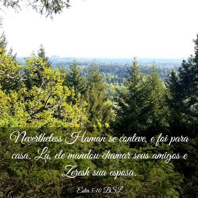 Picture 03 - Ester 5:10 BSL - Nevertheless Haman se conteve, e foi para casa. - Bible Verse Picture