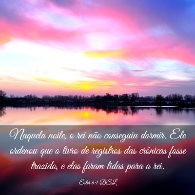 Picture 03 - Ester 6:1 BSL - Naquela noite, o rei não conseguiu dormir. Ele - Bible Verse Picture