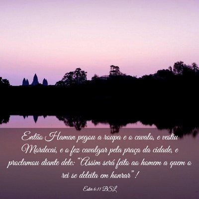Picture 03 - Ester 6:11 BSL - Então Haman pegou a roupa e o cavalo, e vestiu - Bible Verse Picture