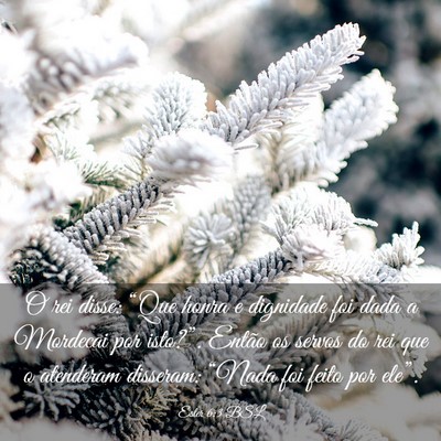 Picture 03 - Ester 6:3 BSL - O rei disse: “Que honra e dignidade foi dada a - Bible Verse Picture