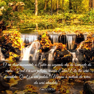 Picture 03 - Ester 7:2 BSL - O rei disse novamente a Ester no segundo dia do - Bible Verse Picture