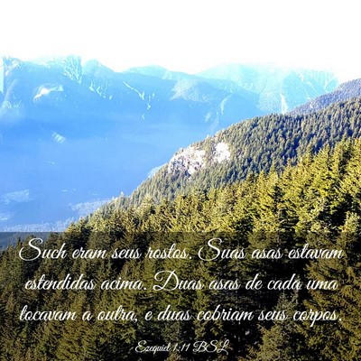 Picture 03 - Ezequiel 1:11 BSL - Such eram seus rostos. Suas asas estavam - Bible Verse Picture