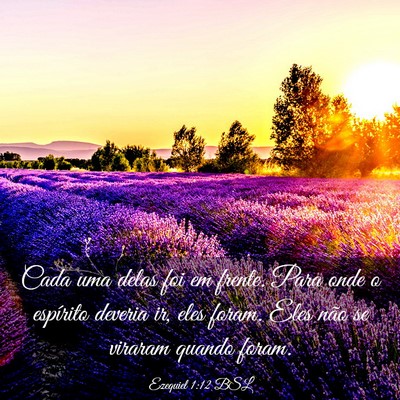 Picture 03 - Ezequiel 1:12 BSL - Cada uma delas foi em frente. Para onde o - Bible Verse Picture