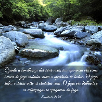 Picture 03 - Ezequiel 1:13 BSL - Quanto à semelhança dos seres vivos, sua - Bible Verse Picture
