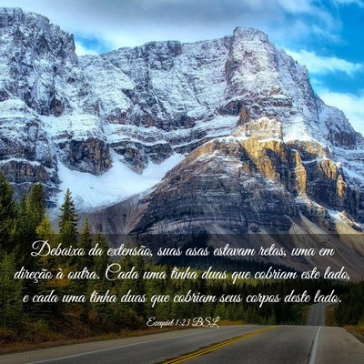 Picture 03 - Ezequiel 1:23 BSL - Debaixo da extensão, suas asas estavam retas, - Bible Verse Picture