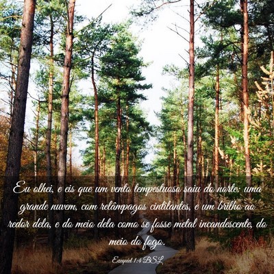 Picture 03 - Ezequiel 1:4 BSL - Eu olhei, e eis que um vento tempestuoso saiu do - Bible Verse Picture