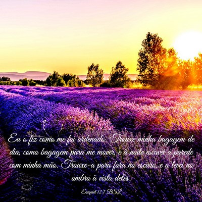 Picture 03 - Ezequiel 12:7 BSL - Eu o fiz como me foi ordenado. Trouxe minha - Bible Verse Picture