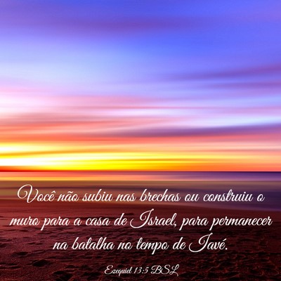 Picture 03 - Ezequiel 13:5 BSL - Você não subiu nas brechas ou construiu o muro - Bible Verse Picture