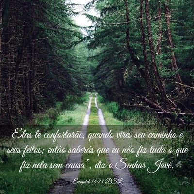 Picture 03 - Ezequiel 14:23 BSL - Elas te confortarão, quando vires seu caminho e - Bible Verse Picture