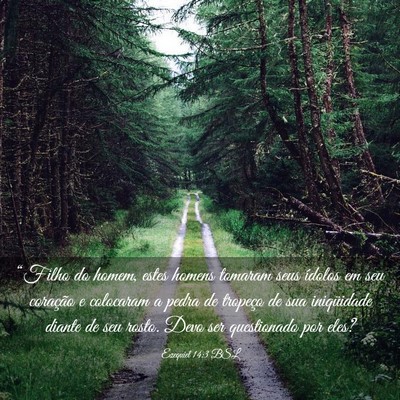 Picture 03 - Ezequiel 14:3 BSL - “Filho do homem, estes homens tomaram seus - Bible Verse Picture