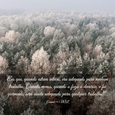 Picture 03 - Ezequiel 15:5 BSL - Eis que, quando estava inteiro, era adequado para - Bible Verse Picture