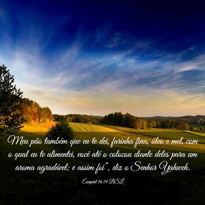 Picture 03 - Ezequiel 16:19 BSL - Meu pão também que eu te dei, farinha fina, - Bible Verse Picture