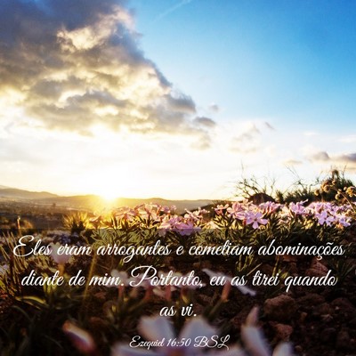 Picture 03 - Ezequiel 16:50 BSL - Eles eram arrogantes e cometiam abominações - Bible Verse Picture