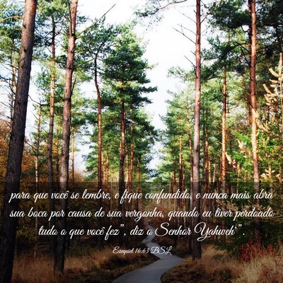 Picture 03 - Ezequiel 16:63 BSL - para que você se lembre, e fique confundido, e - Bible Verse Picture