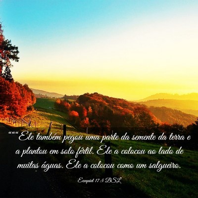 Picture 03 - Ezequiel 17:5 BSL - “““Ele também pegou uma parte da semente - Bible Verse Picture