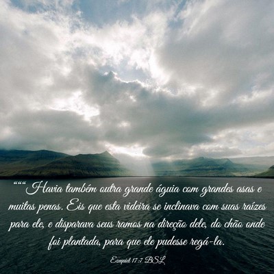 Picture 03 - Ezequiel 17:7 BSL - “““Havia também outra grande águia com - Bible Verse Picture