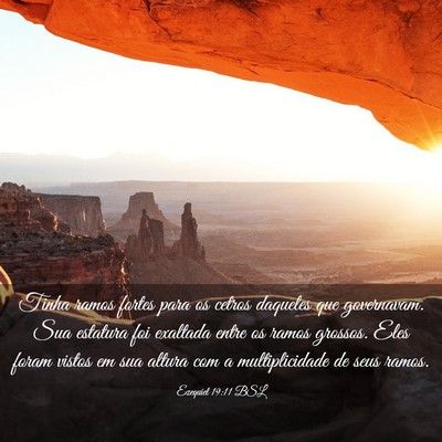 Picture 03 - Ezequiel 19:11 BSL - Tinha ramos fortes para os cetros daqueles que - Bible Verse Picture