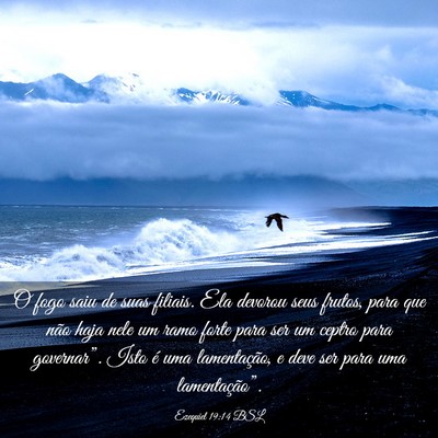 Picture 03 - Ezequiel 19:14 BSL - O fogo saiu de suas filiais. Ela devorou seus - Bible Verse Picture