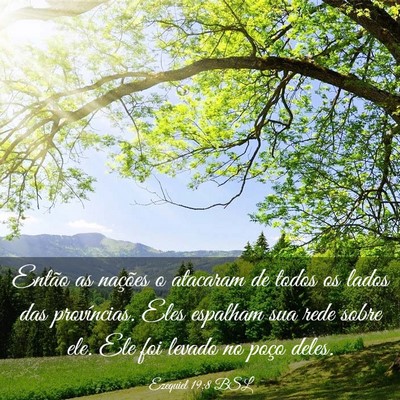 Picture 03 - Ezequiel 19:8 BSL - Então as nações o atacaram de todos os lados - Bible Verse Picture