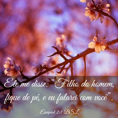 Picture 03 - Ezequiel 2:1 BSL - Ele me disse: “Filho do homem, fique de pé, e - Bible Verse Picture