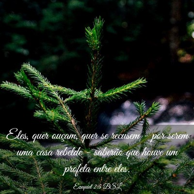 Picture 03 - Ezequiel 2:5 BSL - Eles, quer ouçam, quer se recusem - por serem - Bible Verse Picture