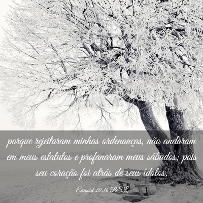 Picture 03 - Ezequiel 20:16 BSL - porque rejeitaram minhas ordenanças, não - Bible Verse Picture
