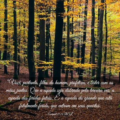 Picture 03 - Ezequiel 21:14 BSL - “Você, portanto, filho do homem, profetiza, e - Bible Verse Picture