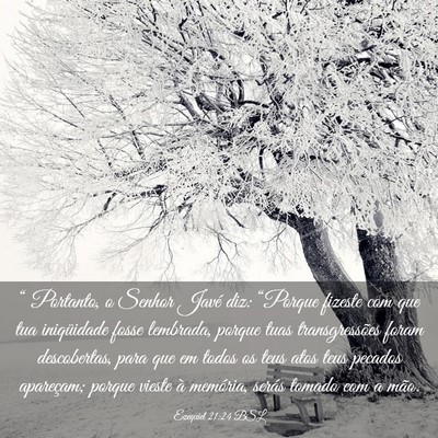 Picture 03 - Ezequiel 21:24 BSL - “ Portanto, o Senhor Javé diz: “Porque - Bible Verse Picture