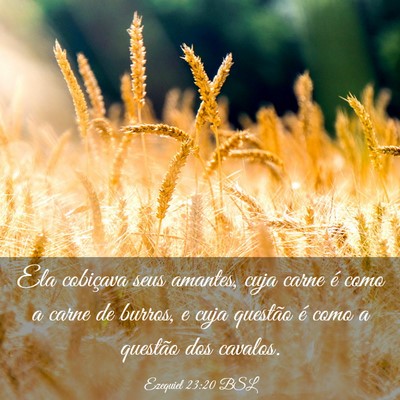 Picture 03 - Ezequiel 23:20 BSL - Ela cobiçava seus amantes, cuja carne é como a - Bible Verse Picture