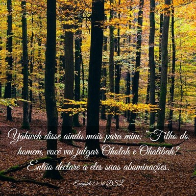 Picture 03 - Ezequiel 23:36 BSL - Yahweh disse ainda mais para mim: “Filho do - Bible Verse Picture