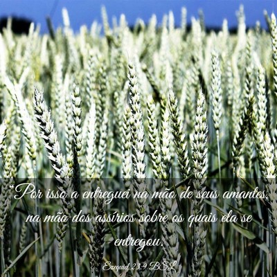 Picture 03 - Ezequiel 23:9 BSL - “Por isso a entreguei na mão de seus amantes, - Bible Verse Picture
