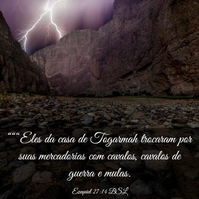 Picture 03 - Ezequiel 27:14 BSL - “““Eles da casa de Togarmah trocaram por - Bible Verse Picture