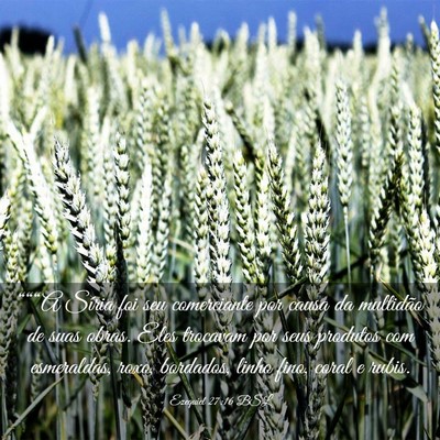 Picture 03 - Ezequiel 27:16 BSL - “““A Síria foi seu comerciante por causa - Bible Verse Picture