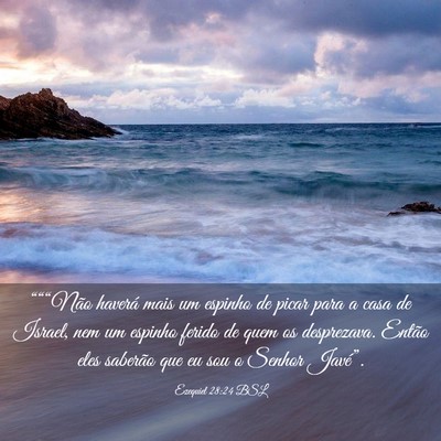 Picture 03 - Ezequiel 28:24 BSL - “““Não haverá mais um espinho de picar - Bible Verse Picture