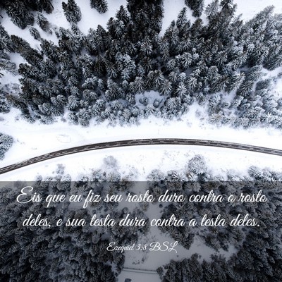 Picture 03 - Ezequiel 3:8 BSL - Eis que eu fiz seu rosto duro contra o rosto - Bible Verse Picture