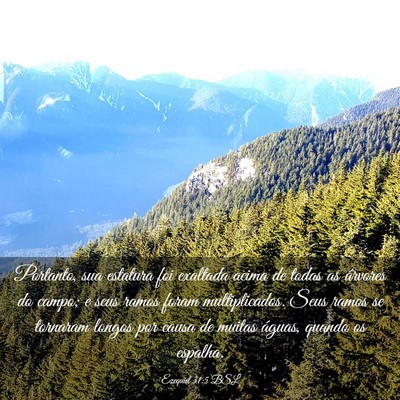 Picture 03 - Ezequiel 31:5 BSL - Portanto, sua estatura foi exaltada acima de - Bible Verse Picture