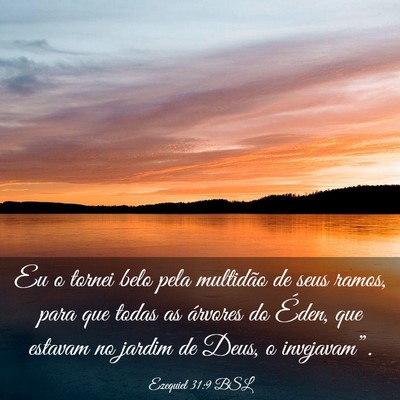 Picture 03 - Ezequiel 31:9 BSL - Eu o tornei belo pela multidão de seus ramos, - Bible Verse Picture