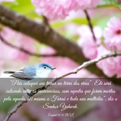 Picture 03 - Ezequiel 32:32 BSL - “Pois coloquei seu terror na terra dos - Bible Verse Picture