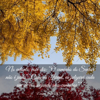 Picture 03 - Ezequiel 33:20 BSL - No entanto, você diz: “O caminho do Senhor - Bible Verse Picture