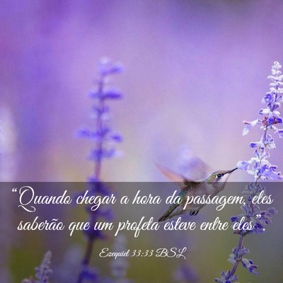 Picture 03 - Ezequiel 33:33 BSL - “Quando chegar a hora da passagem, eles - Bible Verse Picture