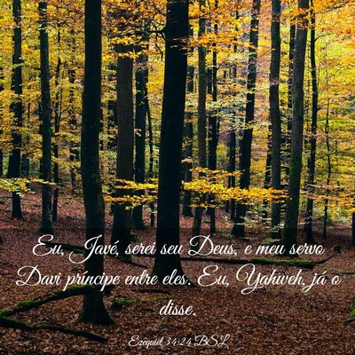Picture 03 - Ezequiel 34:24 BSL - Eu, Javé, serei seu Deus, e meu servo Davi - Bible Verse Picture