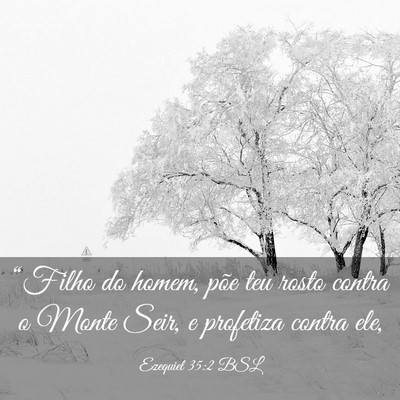 Picture 03 - Ezequiel 35:2 BSL - “Filho do homem, põe teu rosto contra o Monte - Bible Verse Picture