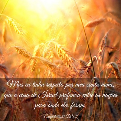 Picture 03 - Ezequiel 36:21 BSL - Mas eu tinha respeito por meu santo nome, que a - Bible Verse Picture