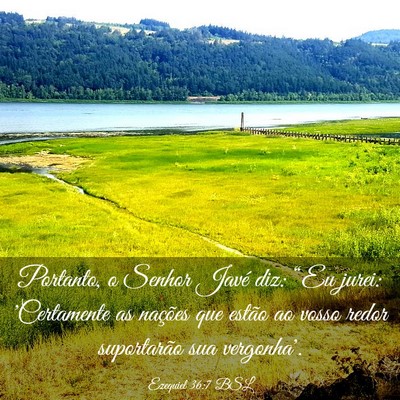 Picture 03 - Ezequiel 36:7 BSL - Portanto, o Senhor Javé diz: “Eu jurei: - Bible Verse Picture
