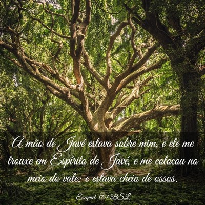 Picture 03 - Ezequiel 37:1 BSL - A mão de Javé estava sobre mim, e ele me trouxe - Bible Verse Picture