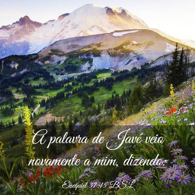 Picture 03 - Ezequiel 37:15 BSL - A palavra de Javé veio novamente a mim, - Bible Verse Picture